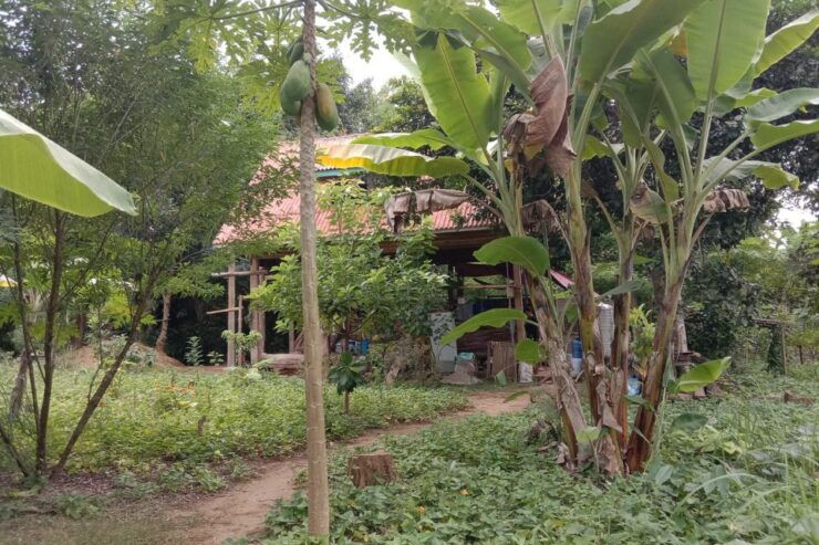Luang Prabang: Organic Farm Experience & Hike to Kuang Si - Activity Details