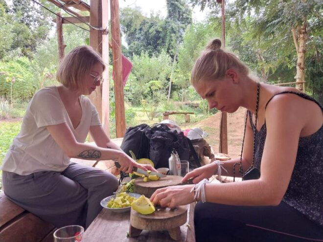 Luang Prabang: Organic Farm Experience & Hike to Kuang Si - Free Cancellation and Duration