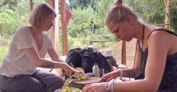 Luang Prabang: Organic Farm Experience & Hike to Kuang Si - Common Questions
