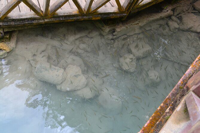 Luang Prabang Private Car Charter: Kuang Si Waterfall (5h) - Who Is This Tour Best For?