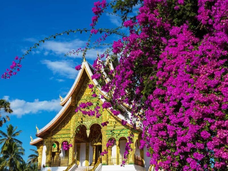 Luang Prabang: Private City Full Day Tour & Night Market - Ascending Mount Phousi for Stunning Views