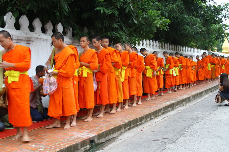 Luang Prabang Spiritual Alms Giving & Waterfall Experience - A quiet ritual, best approached with care