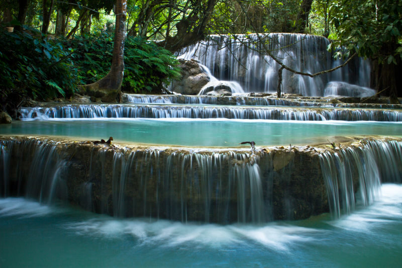 Luang Prabang Spiritual Alms Giving & Waterfall Experience - What the price buys, and what it may not