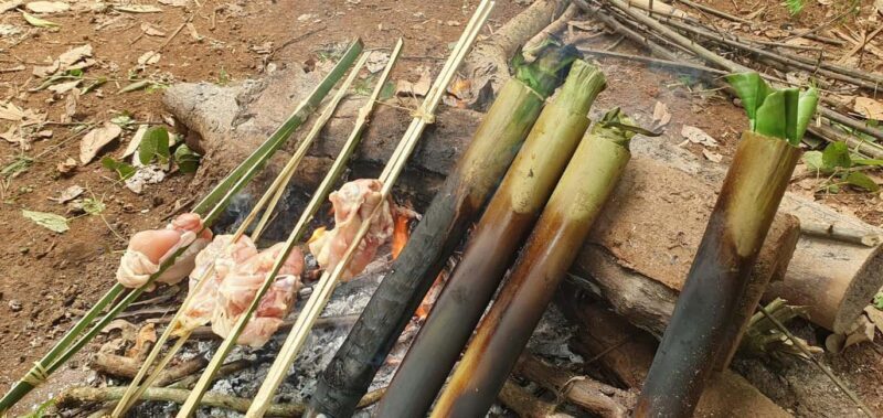 Luang prabang: Survival course in the primary forest. - Who Should Consider This Tour