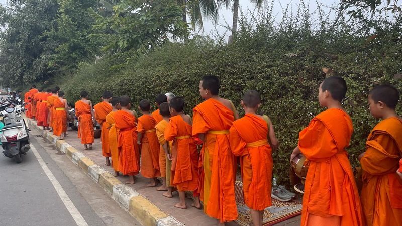LuangPrabang Morning Alms Giving City Tour& Kuang Si Falls - At a glance