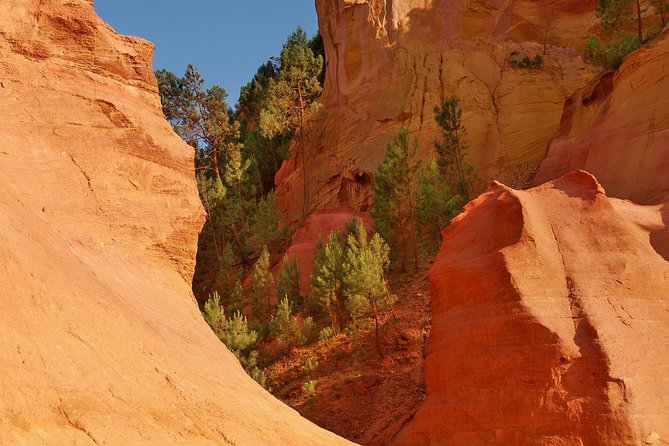 Luberon and Roussillon Small-Group Full-Day Tour From Avignon - Avignon: UNESCO World Heritage Site