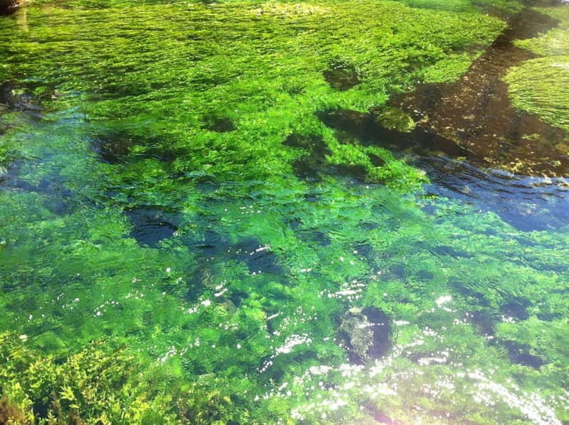 Luberon villages Full-day tour from Aix-en-Provence - Good To Know