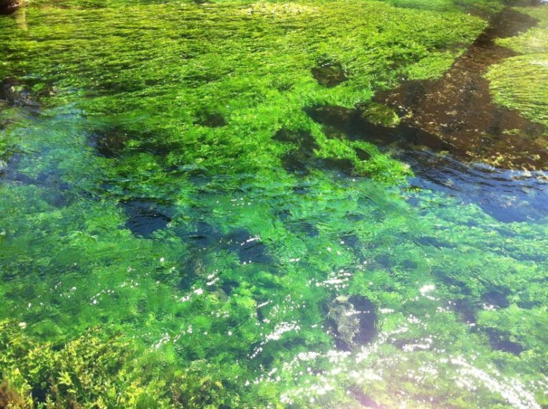 Luberon villages Full-day tour from Aix-en-Provence - Final Thoughts: Who Will Love This Tour?