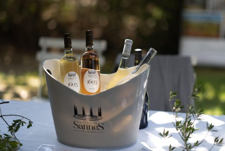 Luberon: Vine to Glass at Château De Sannes - Uncovering the Winemaking Process: A Guided Tour of the Cellar