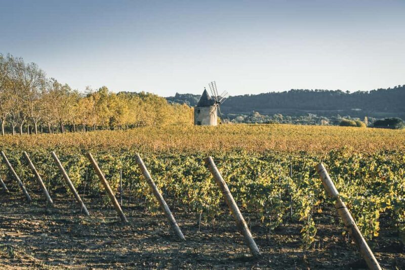 Luberon: Vineyard Tour and Wine Tasting - Good To Know