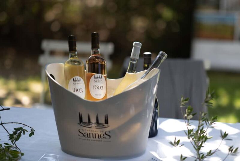 Luberon: visite de la Vigne au Verre et dégustations - Luberon: visite de la Vigne au Verre et dégustations – A Deep Dive into Provençal Wines