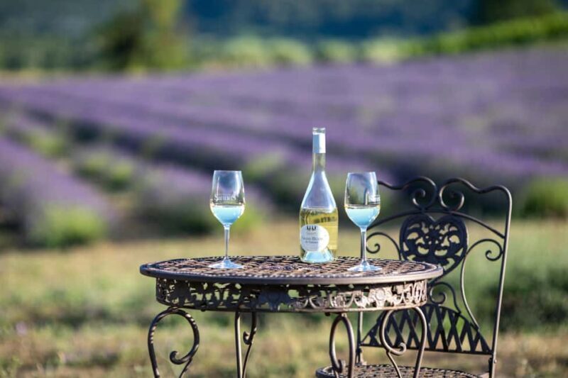 Luberon: visite de la Vigne au Verre et dégustations - Good To Know