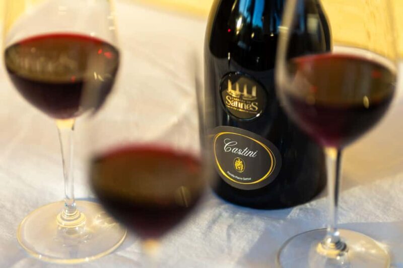 Luberon: visite de la Vigne au Verre et dégustations - From Vineyard to Cellar: The Winemaking Process Unveiled