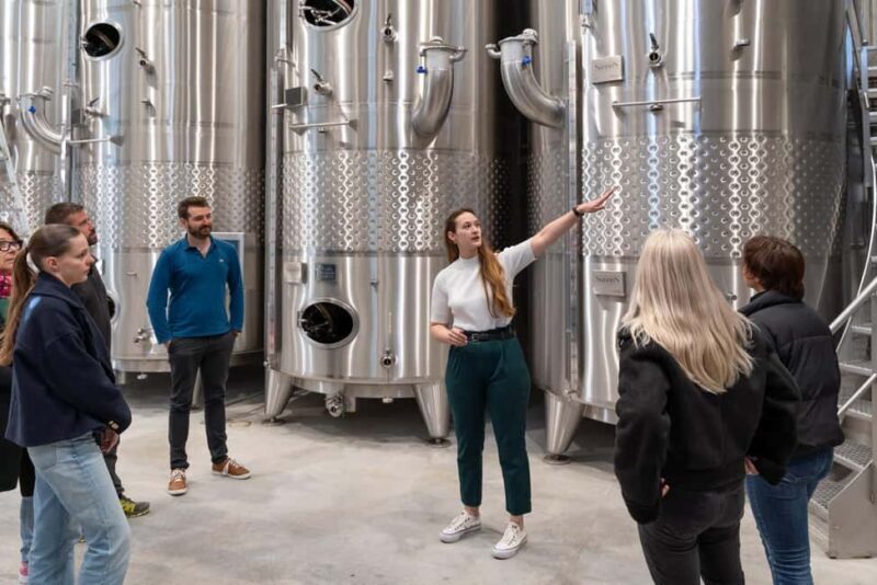 Luberon: visite de la Vigne au Verre et dégustations - Practical Details and What to Expect