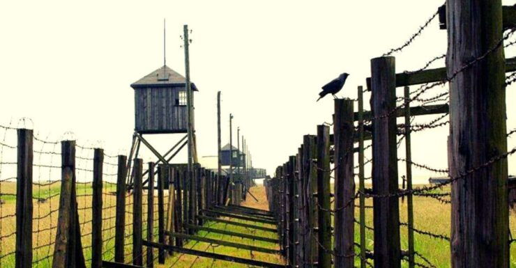 Lublin & Majdanek Small-Group Tour From Warsaw With Lunch - Tour Duration and Starting Times