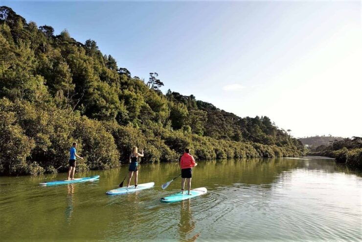 Lucas Creek Waterfall SuP Tour - Tour Details