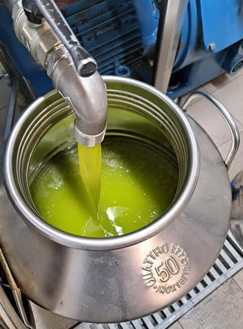 Lucca: Azienda Agricola San Pietro Winery Tour with Tasting - Good To Know