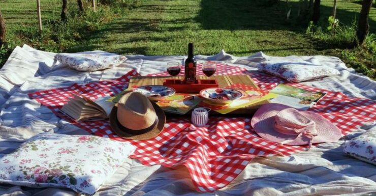 Lucca: Bicycle Rental With Picnic Lunch at a Vineyard - Activity Overview