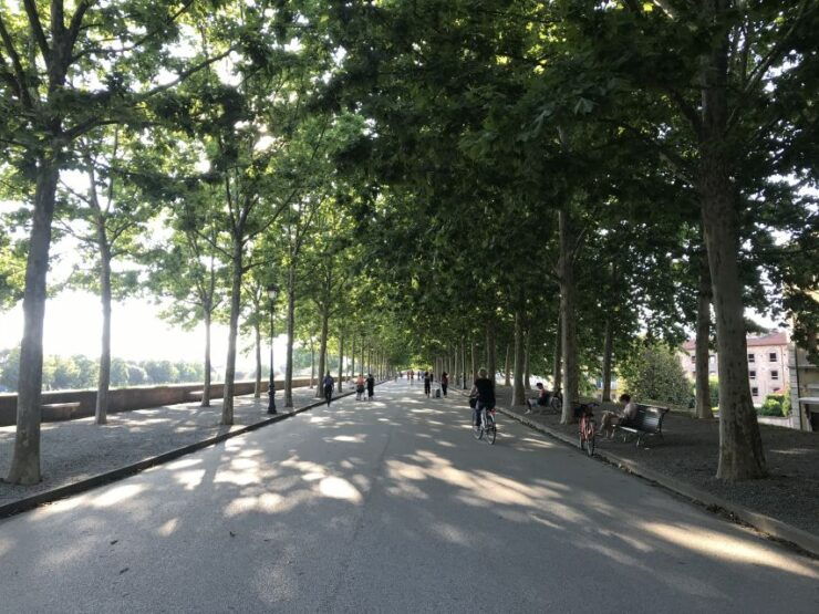 Lucca: City Bike One-Day Rental - Activity Details and Booking Information