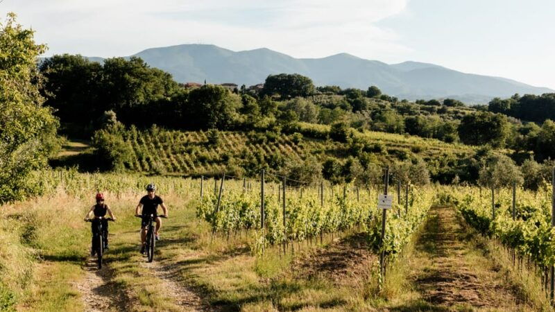 LUCCA: EBIKE TOUR WITH LUNCH AND WINE TASTING - Good To Know