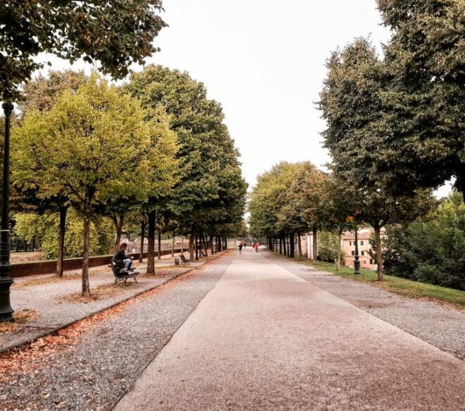 Lucca: Guided Walking Tour - Highlights of the Tour