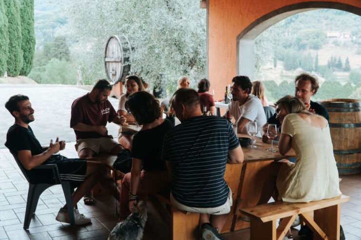 Lucca: Guided Winery Tour With Wine Tasting - Activity Details