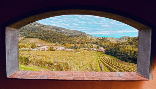 Lucca: Guided Winery Tour With Wine Tasting - Directions