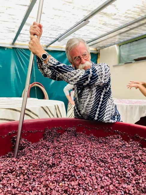 Lucca - Natural wine tasting at Tenuta Mareli - A Closer Look at the Experience