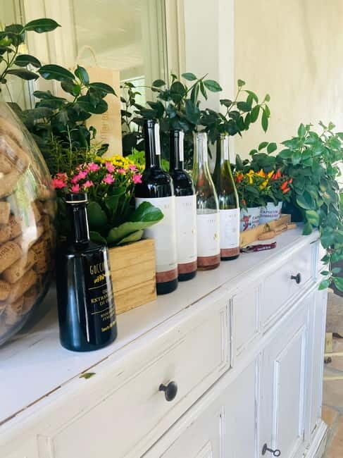 Lucca - Natural wine tasting at Tenuta Mareli - Final Thoughts