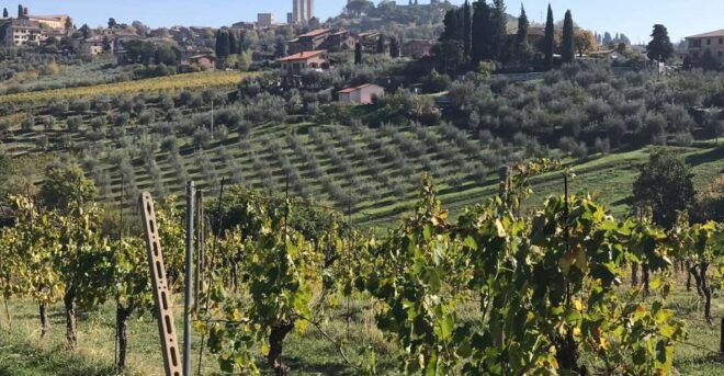 Lucca Private Day Tour to Chianti and San Gimignano - Additional Information