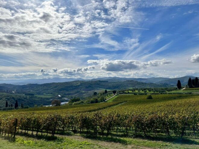 Lucca Private Day Tour to Chianti and San Gimignano - Highlights