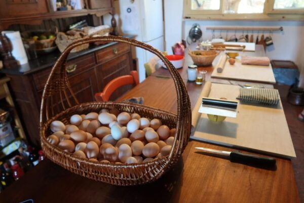 Lucca: Private Home-made Pasta Cooking Class - Booking Information