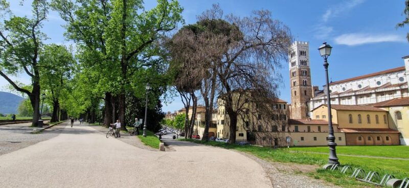 Lucca: private tour of center, San Martino and San Frediano - Why You’ll Love This Tour