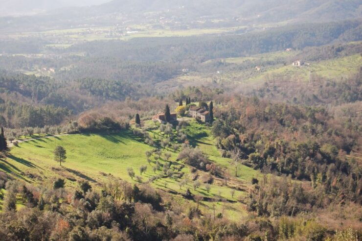 Lucca: Self-Guided Bike Tour to the Wine Roads - Cancellation Policy