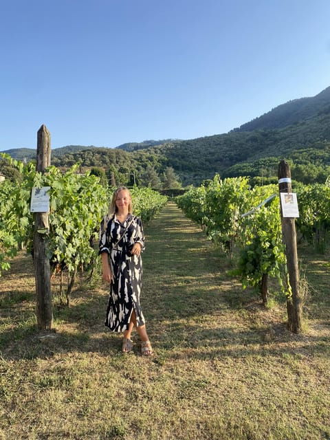 Lucca tour & Pisa tower + Wine Tasting by van from La Spezia - FAQs