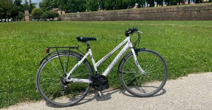 Lucca: Trekking Bike Rental - Booking Details for Trekking Bike Rental