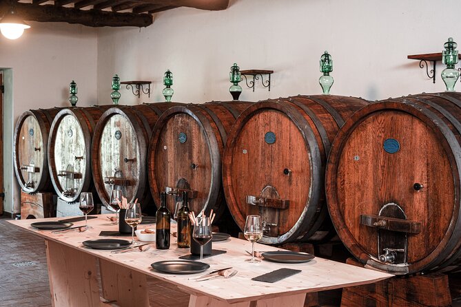 Lucca: Wine Tasting Experience - Tenuta Adamo Winery - Boutique Winery Experience