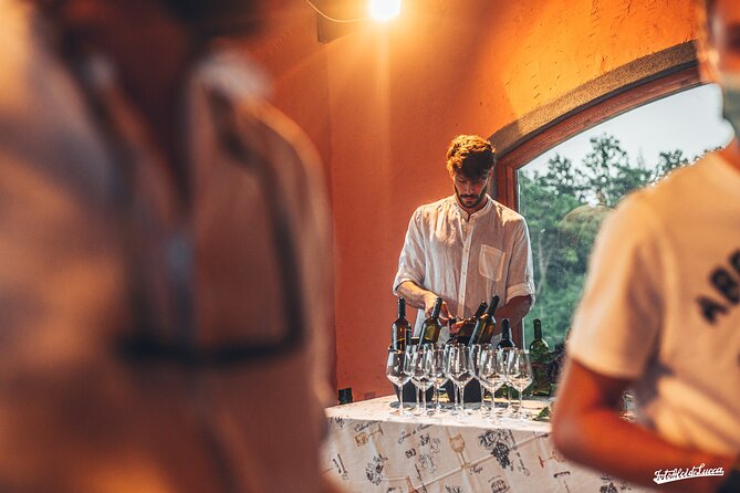 Lucca: Wine Tasting Experience - Tenuta Adamo Winery - Sampling Estates Wines and Olive Oil