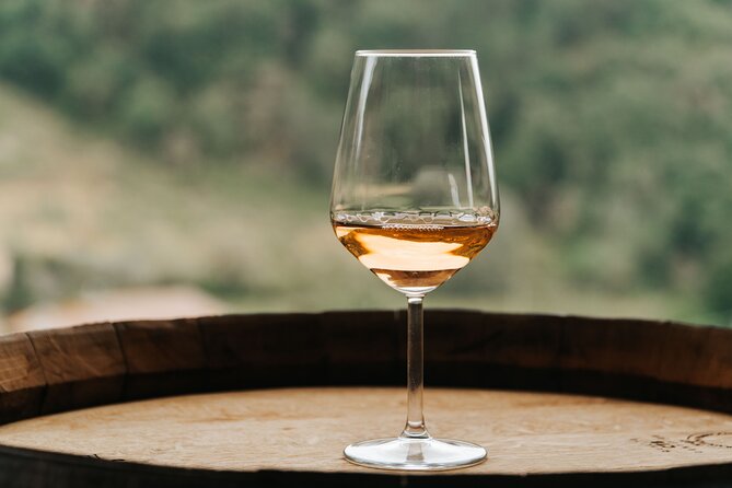 Lucca: Wine Tasting Experience - Tenuta Adamo Winery - Traveler Photos and Reviews