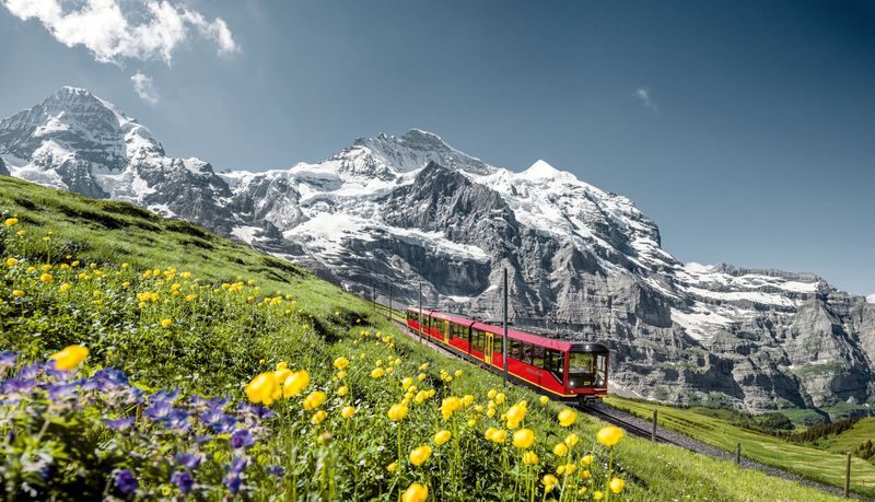 Lucerne and Swiss Alps Multi-Day Mountains Tour - Three peaks, one carefully packed route