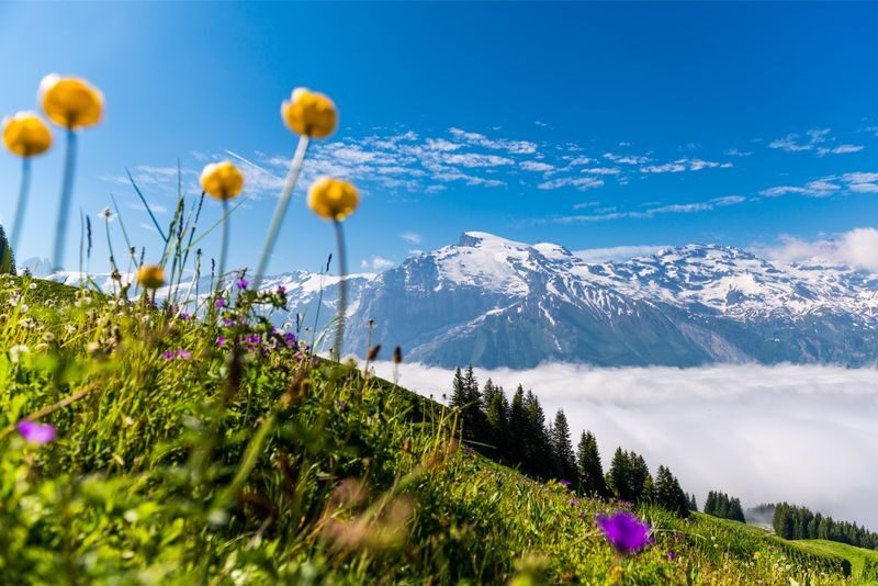 Lucerne and Swiss Alps Multi-Day Mountains Tour - Lucerne breaks up the mountain days