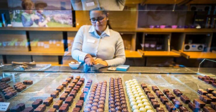 Lucerne: Chocolate Tasting With Lake Trip and City Tour - Booking Details