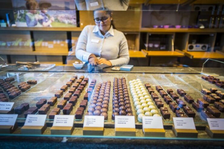 Lucerne: Chocolate Tasting With Lake Trip and City Tour - Tour Experience