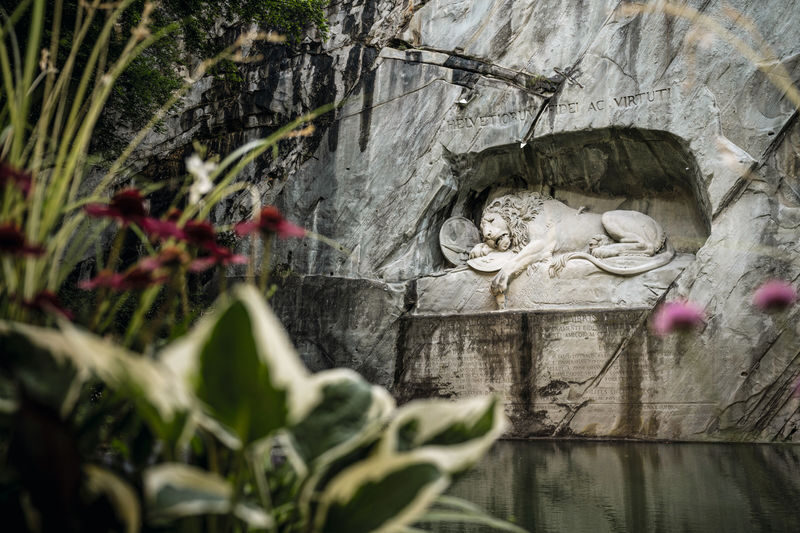 Lucerne City Highlights Partially Guided Day Tour - What this Lucerne day trip actually includes