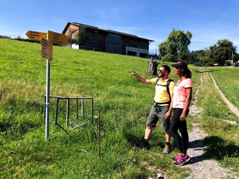 Lucerne: Farm Tour and Cheese Tasting - Tour Overview and Pricing