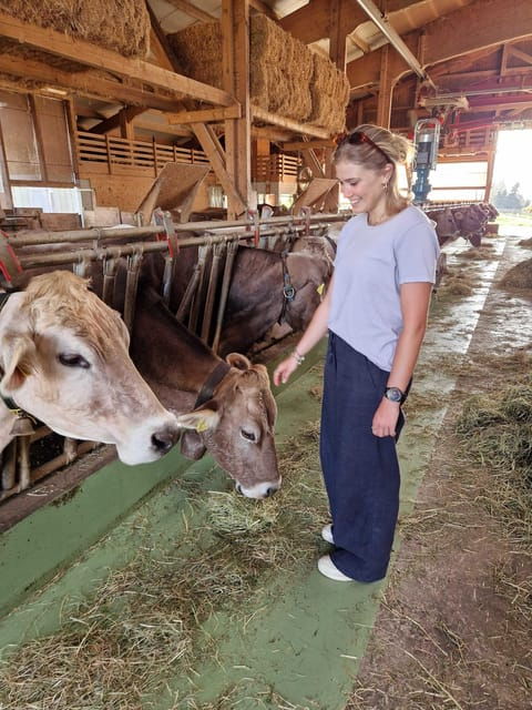 Lucerne: Farm Tour and Cheese Tasting - Highlights of the Cheese Tasting