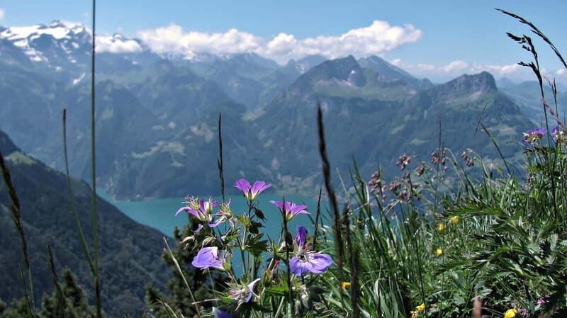 Lucerne: Guided Day Hike to Lucerne Ridge & Lake Views - Transportation and Timing