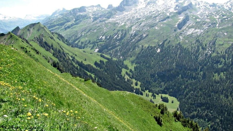 Lucerne: Guided Day Hike to Lucerne Ridge & Lake Views - Authentic Experiences and Practical Considerations