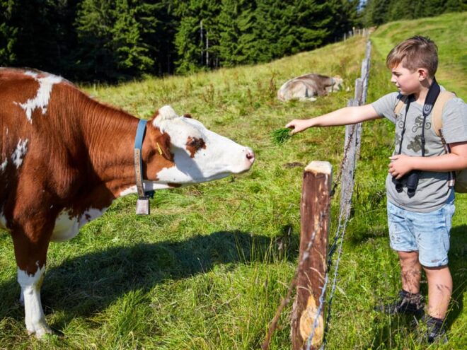 Lucerne: Guided Hike on the Pilatus With Barbecue Experience - Inclusions