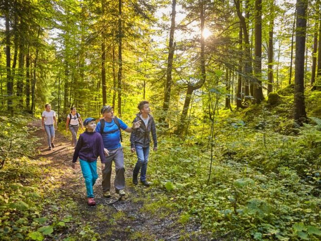 Lucerne: Guided Hike on the Pilatus With Barbecue Experience - Important Information